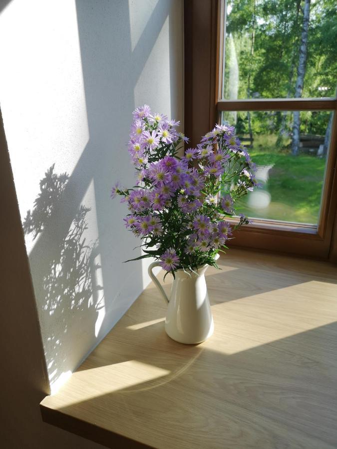 Villa Na Jeleni Stezce Chřibská Exterior foto