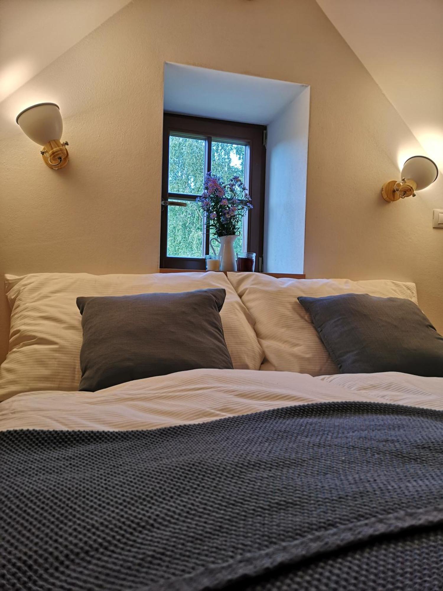 Villa Na Jeleni Stezce Chřibská Exterior foto